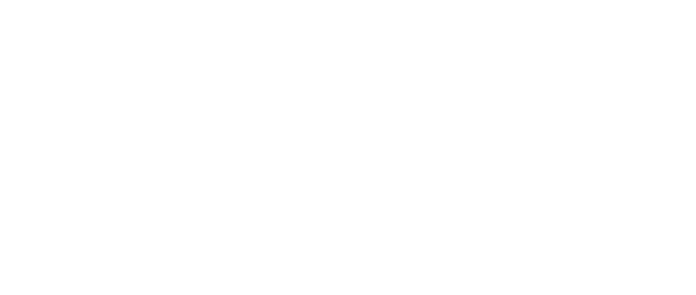 Logo Koyote