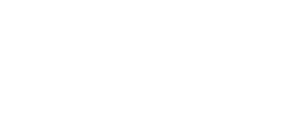 Logo Shopify
