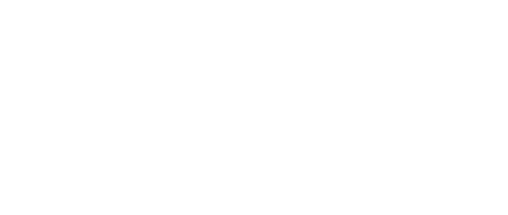 Logo Tiktok Ads