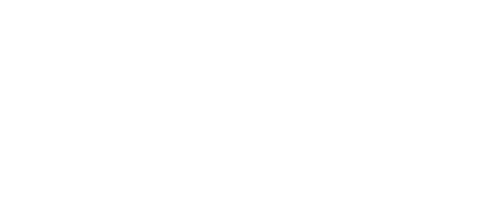 Logo WordPress